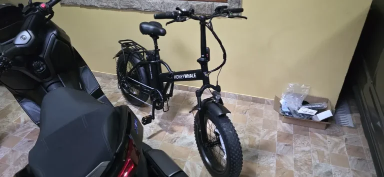 Honeywhale F6 Bicicleta Eléctrica Plegable Fat Bike Llanta 20" Motor 790W Batería 48V 10.4Ah photo review