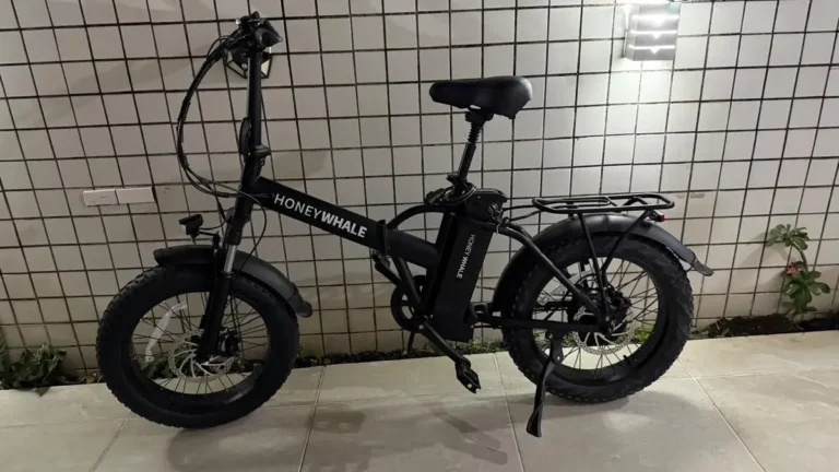 Honeywhale F6 Bicicleta Eléctrica Plegable Fat Bike Llanta 20" Motor 790W Batería 48V 10.4Ah photo review