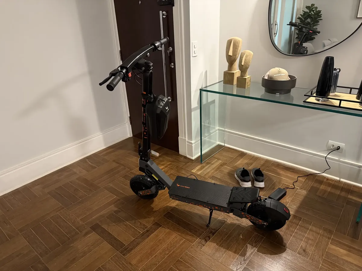 HONEYWHALE H2-Dual Patinete Plegable Negro Aluminio LED Freno de Disco 150kg photo review