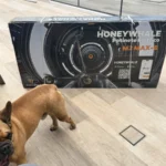 HONEYWHALE M2 MAX-B Patinete Eléctrico Plegable Negro/Naranja 36V 500W con Bluetooth, Luz LED y Freno de Disco photo review