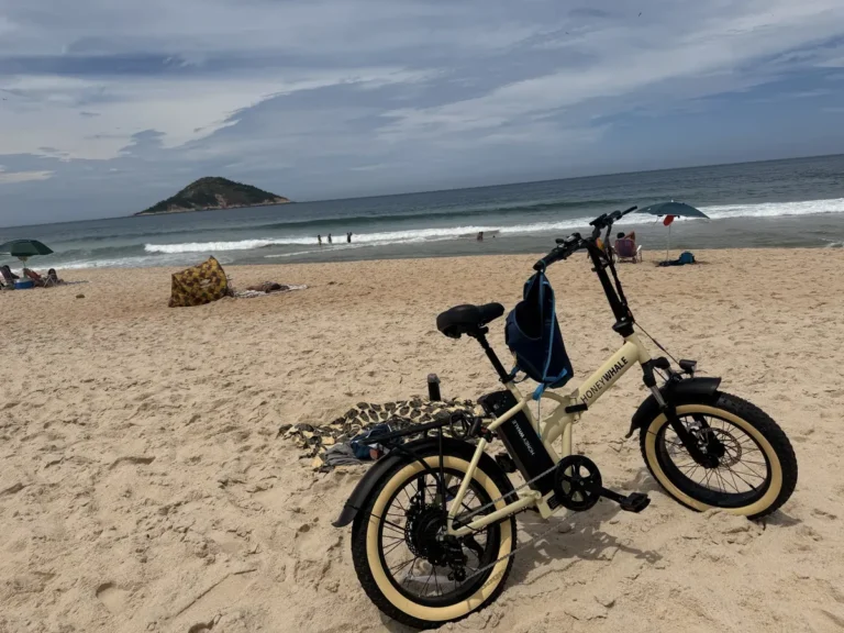 Honeywhale F6 Bicicleta Eléctrica Plegable Fat Bike Llanta 20" Motor 790W Batería 48V 10.4Ah photo review