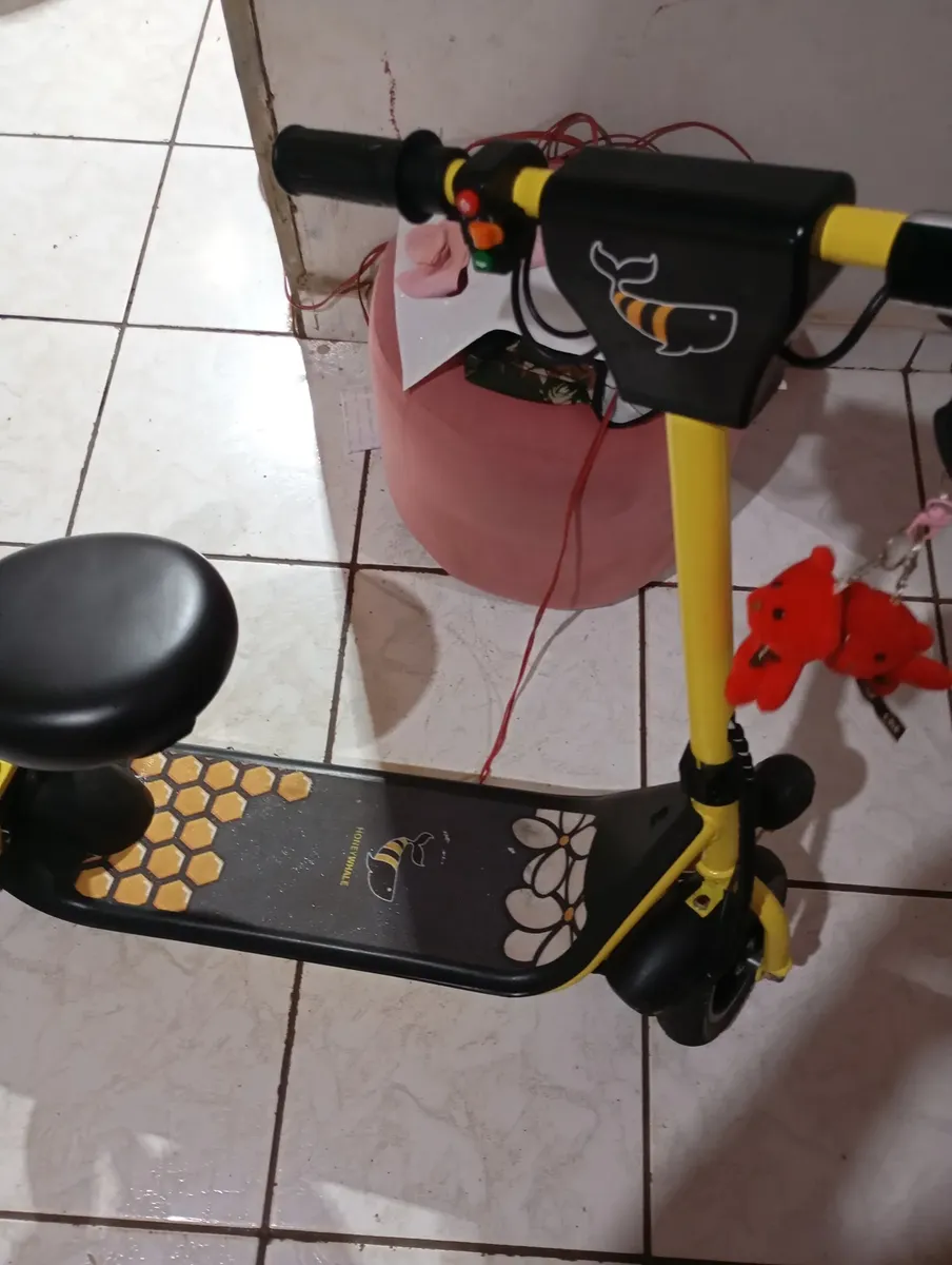 Honeywhale JL006 Scooter Eléctrico Infantil con Luces RGB Bluetooth Motor 300W Batería 3.6Ah y Kit de Protección photo review