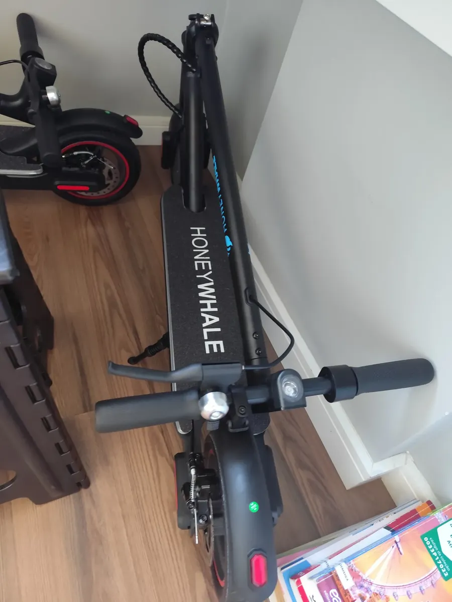 Honeywhale S2 - monopatín eléctrico plegable 36 V 500 W Pico 20 km photo review