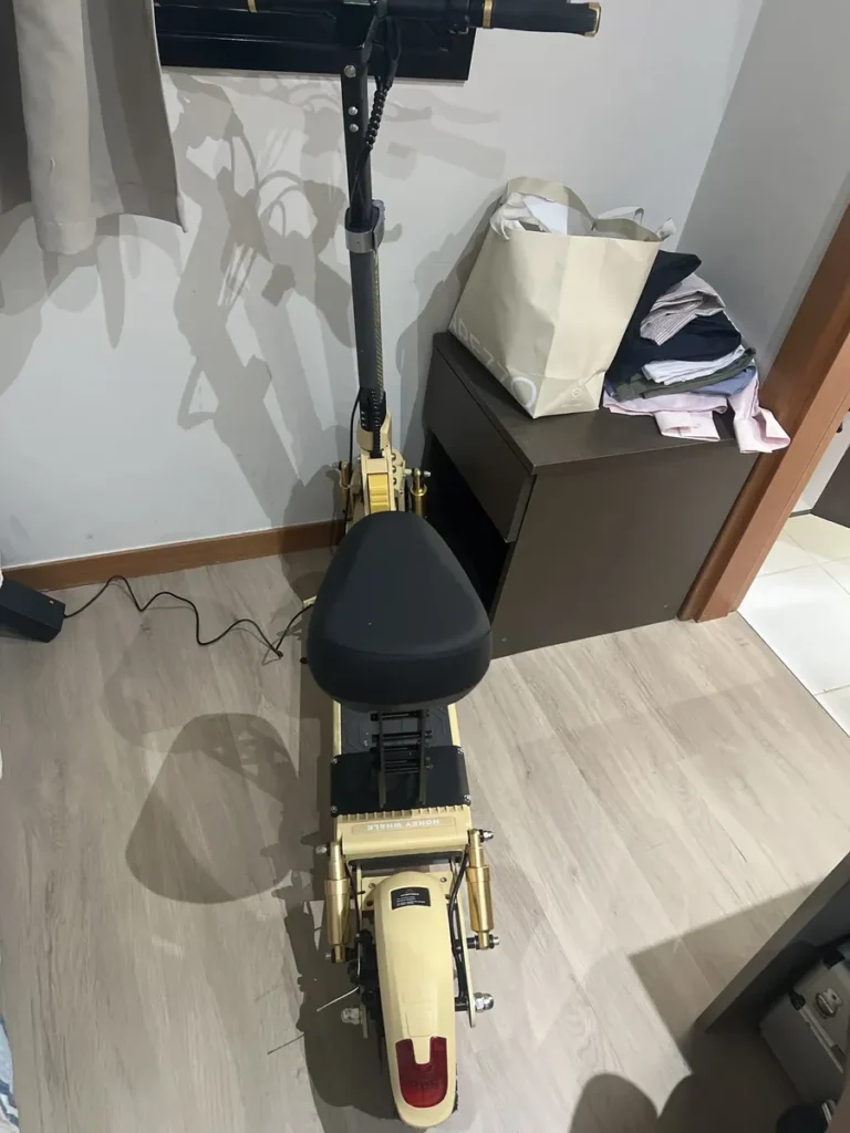 Honeywhale C1 Patinete Eléctrico con Banco Motor 980W Batería 13Ah autonomía 40km Duplo Amortecimento y Frenos de disco photo review