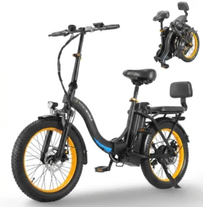 Honeywhale BW02 Bicicleta Eléctrica Plegable Pneu 20x3.0 Motor 790W Batería 48V 10.4Ah