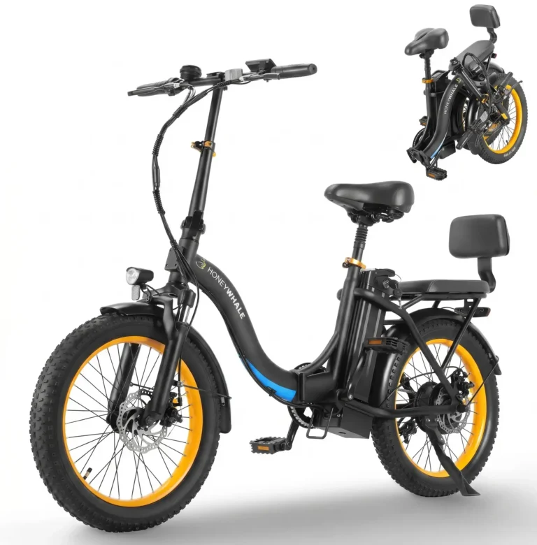 Honeywhale BW02 Bicicleta Eléctrica Plegable Pneu 20x3.0 Motor 790W Batería 48V 10.4Ah