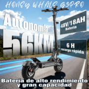 HONEYWHALE G3 Pro Patinete Eléctrico Plegable Negro 48V 1640W con Ruedas 12" y Luz LED - Image 3