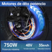 Honeywhale S6-S Bicicleta Eléctrica Plegable Motor 750W 48V Amortiguador Neumático 14" LCD - Image 3
