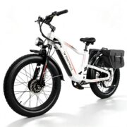 HONEYWHALE BK07 Bicicleta Eléctrica 2000W 48V 20Ah Fat Bike 26"