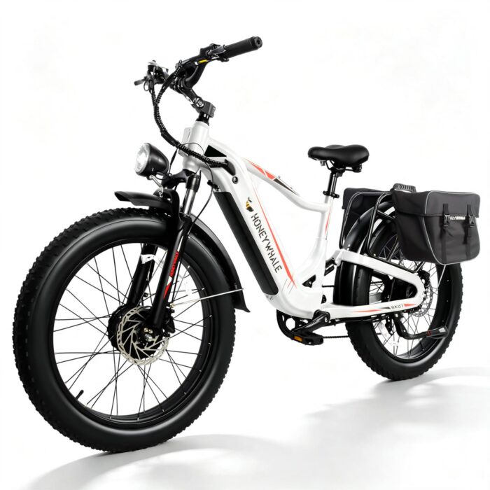 HONEYWHALE BK07 Bicicleta Eléctrica 2000W 48V 20Ah Fat Bike 26"